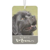 Newfie Newfoundland Mom Insert Dog's写真 カーエアーフレッシュナー (裏面)