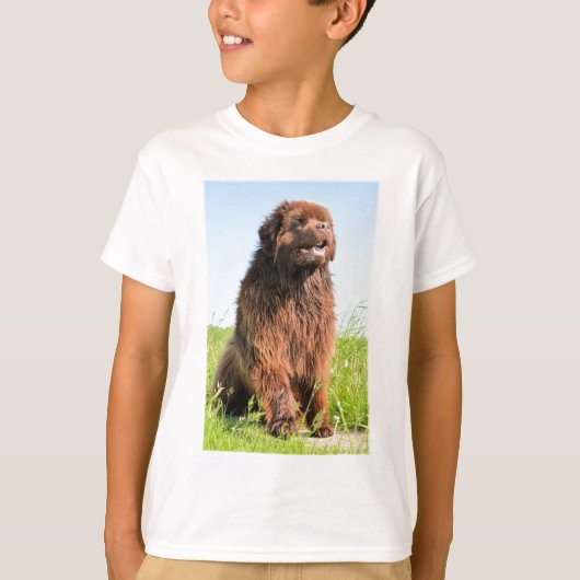 newfie sitting.png tシャツ (正面)