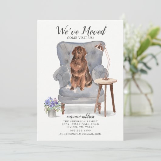 Newfoundland引っ越しました移動案内 案内状 (スタンド正面)