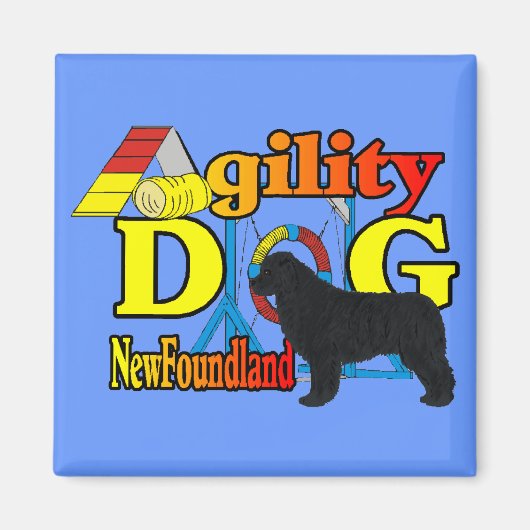 Newfoundland_Agilityギフト マグネット (正面)