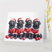 Newfoundland Christmas Dress Santa Hat カード (黄色い花)