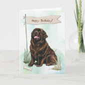 Newfoundland Dog Outdoors Under Birthday Sign カード (正面)