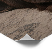 Newfoundland Dog Relaxing ポスター (角)