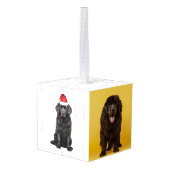 Newfoundland Dog Two Photo Christmas Holiday キューブオーナメント (裏面アングル)
