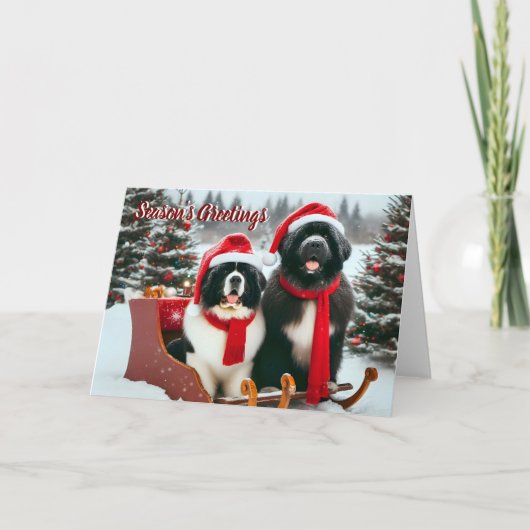 Newfoundland Dogs in Sleigh Christmas Card シーズンカード (正面)