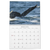 Newfoundland in写真: A 2013カレンダー カレンダー (3月 2026)