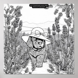 Newfoundland Puppy Dog in a Lavender Flower Field ポスター