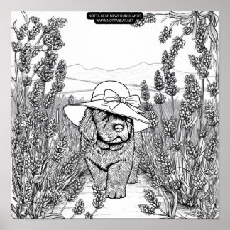 Newfoundland Puppy Dog in a Lavender Flower Field ポスター