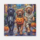 Newfoundland Trick-or-Treating Halloween Costumes マグネット (正面)