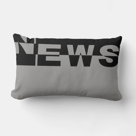 NEWSバモダンナー+バックグラファー&アイディア ランバークッション (正面)