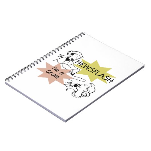 Newsflash I'm a Gram Gift ノートブック (左側)
