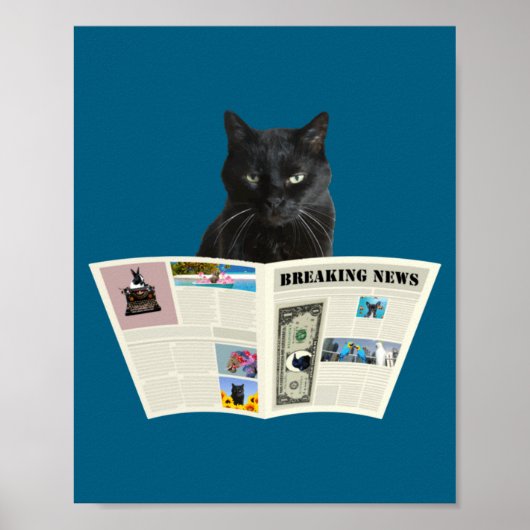 Newspaper Breaking News Black Cat Au Journal _1  ポスター (正面)