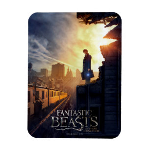NEWT SCAMANDER™ in Distroyed建物 マグネット