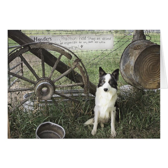 newtpraticefielddragonizer4x6 (正面横)