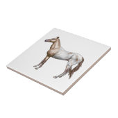 Nez Perceの馬 タイル (側面)