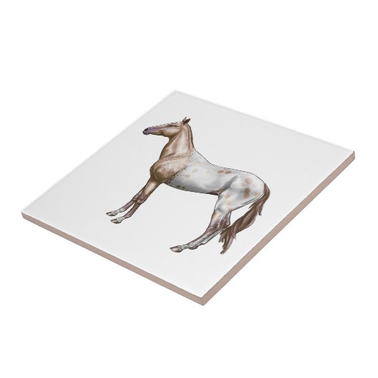 Nez Perceの馬 タイル (側面)