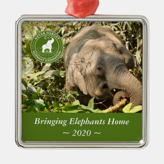 NFEFスクエアオーナメント メタルオーナメント (正面)