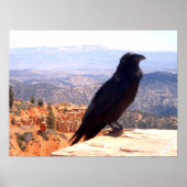 NGクロウ ポスター (正面)