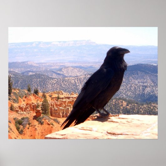 NGクロウ ポスター (正面)