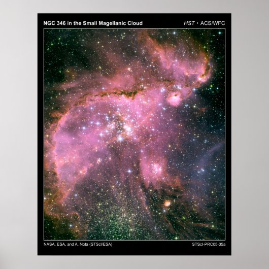 NGC346InTheSmallMagellanicCloud-20 ポスター (正面)