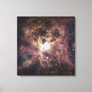 NGC 2070年のタランチュラの星雲 キャンバスプリント