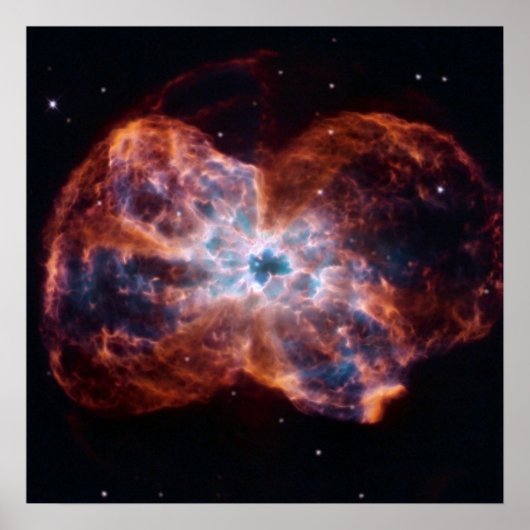 NGC 2440ラストフラワースターNASA ポスター (正面)