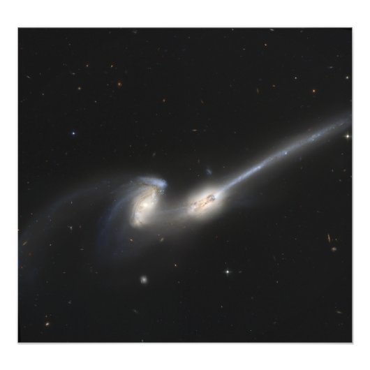 NGC 4676、別名ネズミ銀河系 フォトプリント            (正面)