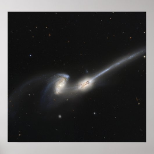 NGC 4676、別名ネズミ銀河系 ポスター (正面)
