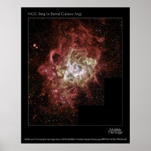 NGC 604 ポスター
