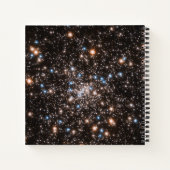 Ngc 6397 ノートブック (裏面)