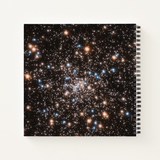 Ngc 6397 ノートブック (裏面)