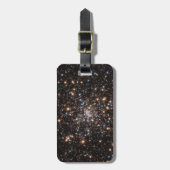 Ngc 6397 ラゲッジタグ (正面縦)