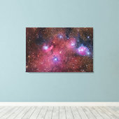 NGC 6559星雲射手座 キャンバスプリント (インサイチュ (ウッドフロア))