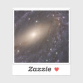 Ngc 6744年3億光年遠くに。 シール (シート)