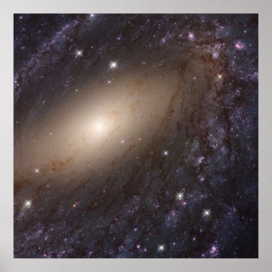 Ngc 6744年3億光年遠くに。 ポスター (正面)