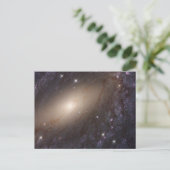 Ngc 6744年3億光年遠くに。 ポストカード (スタンド正面)