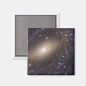 Ngc 6744年3億光年遠くに。 マグネット (正面/裏面)