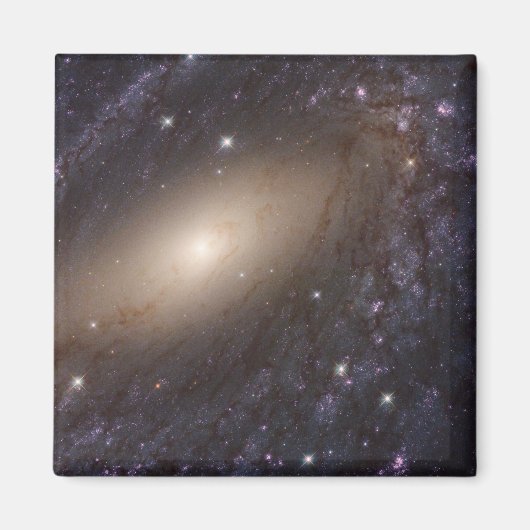 Ngc 6744年3億光年遠くに。 マグネット (正面)