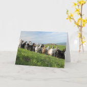 NGIPグリーティングカード カード (黄色い花)