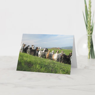 NGIPグリーティングカード カード