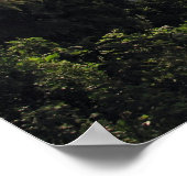 Ngorongoro Crater（タンザニア） ポスター (角)