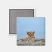 Ngorongoro Crater（タンザニア） マグネット (正面/裏面)