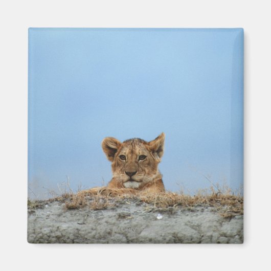 Ngorongoro Crater（タンザニア） マグネット (正面)