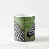 Ngorongoro Zebraクローズアップ コーヒーマグカップ (中央)
