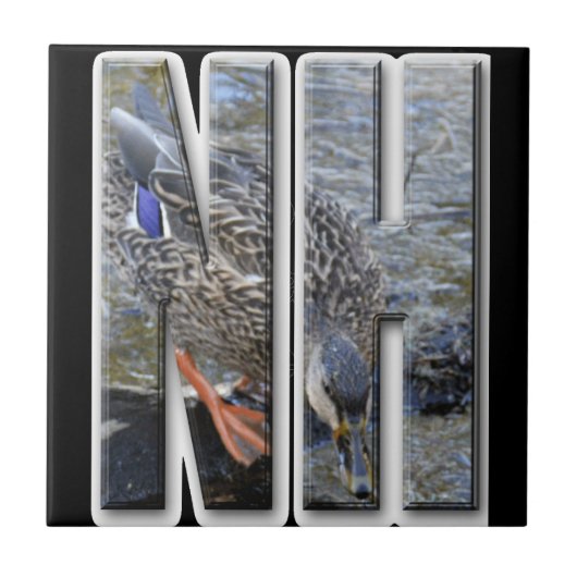 NHニューハンプシャー タイル (正面)