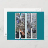 NHニューハンプシャー ポストカード (正面/裏面)