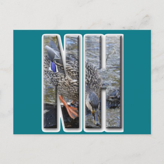 NHニューハンプシャー ポストカード (正面)