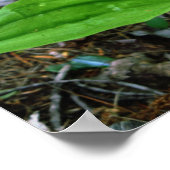 NHピンクレディスリッパ（キプリデジウムアカウレ） 16x20 ポスター (角)