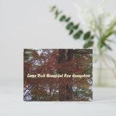 NH葉書 ポストカード (スタンド正面)