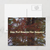 NH葉書 ポストカード (正面/裏面)